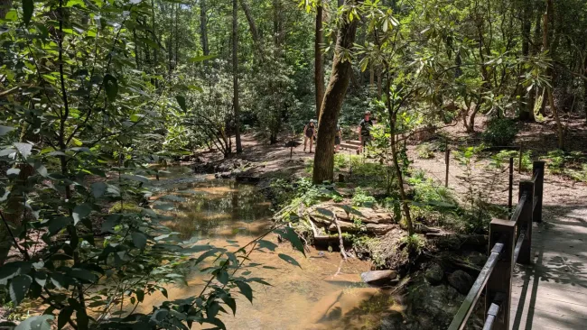 Drupalists hiking in the Arboretum outside of Asheville